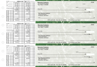 Green Marble Payroll Business Checks | BU3-GMA01-PAY