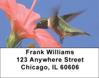 Humingbird Checks Address Labels | LBEVC-62